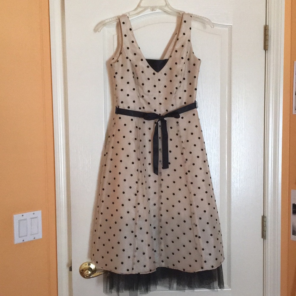 Jodi kristopher cocktail champagne and black dress